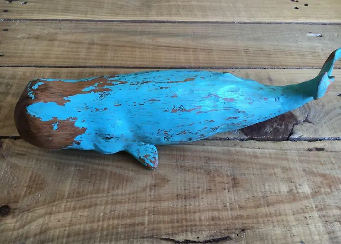 Le Wim'heureux Terrasse Apartment *